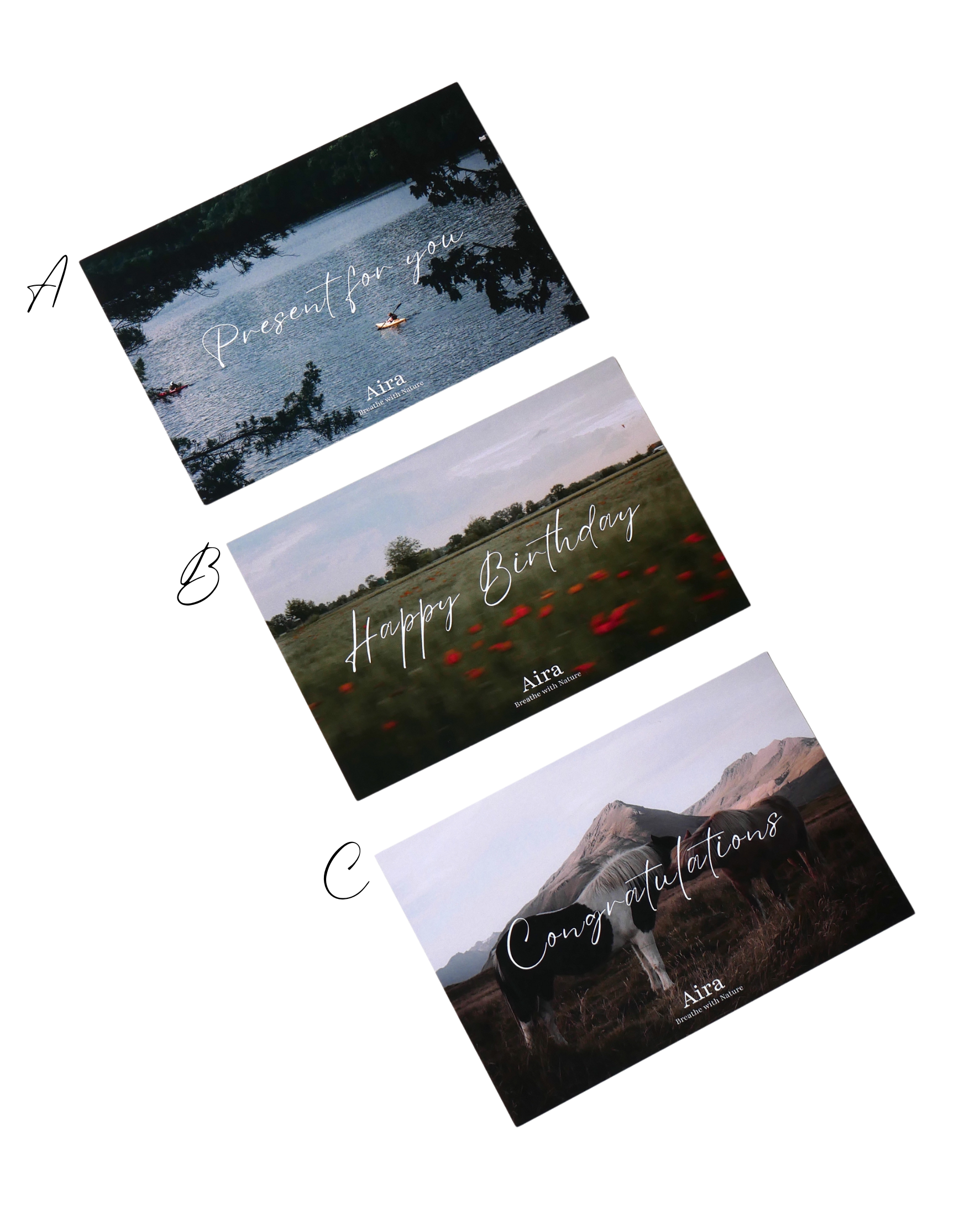 #013. メッセージポストカード