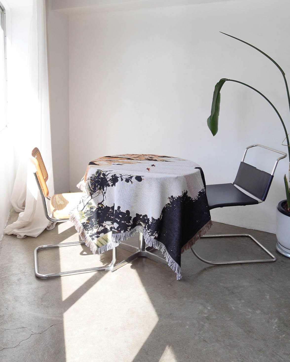 #003.スローブランケット-コースト